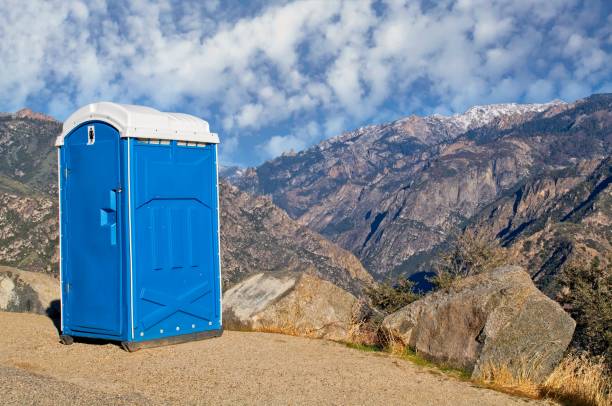 Best Local porta potty services  in Fox Lake, WI